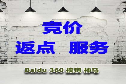 知名SEM公司案例分析：优化策略与成果