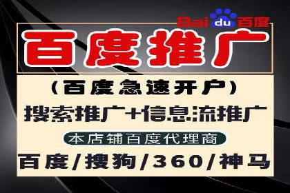 解析SEM推广代运营的优化技巧与策略